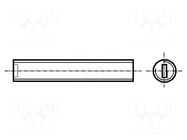 Screw; M5x8; 0.8; Head: without head; slotted; 0.8mm; polyamide BOSSARD