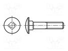 Screw; M5x30; 0.8; Head: button; A2 stainless steel; DIN 603; 12mm BOSSARD