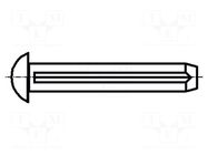 Rivet pin; steel; BN 893; Ø: 2mm; L: 4mm; DIN 1476; ISO 8746 BOSSARD