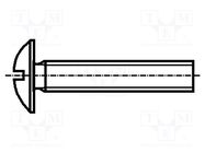 Screw; M6x50; 1; Head: button; slotted; plastic; Strength cl: 6.6 BOSSARD