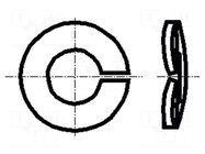 Washer; spring; M10; D=18.1mm; h=2.85mm; steel; Plating: zinc BOSSARD