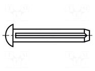 Rivet pin; BN 688; L.rivet: 4mm; Rivet diam: 2mm BOSSARD