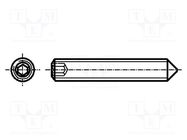 Screw; M5x12; 0.8; Head: without head; hex key; HEX 2,5mm; steel BOSSARD