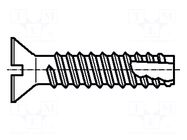 Screw; 2.9x6.5; Head: countersunk; slotted; 0.8mm; hardened steel BOSSARD
