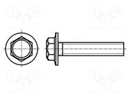 Screw; with flange; M4x12; 0.7; Head: hexagonal; steel; zinc BOSSARD