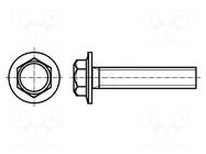 Screw; with flange; M3x8; 0.5; Head: hexagonal; steel; zinc BOSSARD