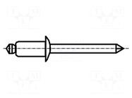 Rivet; aluminium; Rivet diam: 3.2mm; L.rivet: 6mm; BN 924 BOSSARD