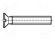 Screw; M3x12; 0.5; Head: countersunk; slotted; 0,8mm; steel; zinc BOSSARD