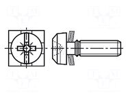 Screw; with washer; M3x6; 0.5; Pozidriv,slotted; PZ1,0.6mm; steel BOSSARD
