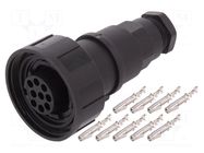 Connector: circular; plug; female; PIN: 9; 5A; 150V; IP68; UL94V-0 BULGIN