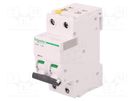 Circuit breaker; 400VAC; Inom: 6A; Poles: 2; for DIN rail mounting SCHNEIDER ELECTRIC