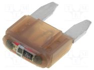 Fuse: fuse; 5A; 12VDC; automotive; 10.9mm; SMART GLOW LITTELFUSE