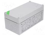 Enclosure: junction box; X: 150mm; Y: 300mm; Z: 132mm; polycarbonate SPELSBERG