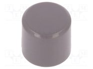 Button; grey; Mat: polyamide; PVA series C&K