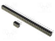 Connector: pin strips; socket; female; PIN: 24; turned contacts CONNFLY