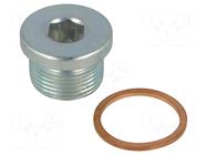 Hexagon head screw plug; with seal; Thread: M22; Gasket: copper ELESA+GANTER