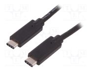 Cable; USB 3.1; USB C plug,both sides; 1m 