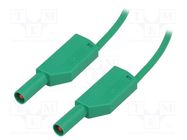 Test lead; 19A; banana plug 4mm,both sides; Urated: 1kV; green 