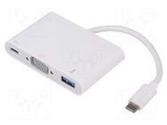 Adapter; USB 3.0,USB 3.1; 0.19m; white; Standard: Power Delivery QOLTEC