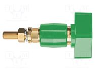 Laboratory clamp; green; 1kVDC; 200A; on panel,screw; brass; 143mm SCHÜTZINGER