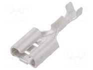 Terminal: flat; 6.3mm; 0.8mm; female; 0.25÷0.5mm2; crimped; tinned IMP