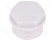 Stopper; M25; 1.5; IP54; polyamide; grey; SKINDICHT®; Thread: metric LAPP