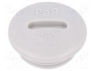 Stopper; PG9; IP54; polyamide; light grey; SKINDICHT® BLK-GL; 6mm LAPP