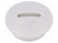 Stopper; PG9; IP54; polyamide; light grey; SKINDICHT®; 6mm LAPP