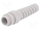 Cable gland; with strain relief; M20; 1.5; IP68; polyamide LAPP