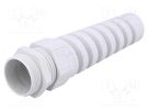 Cable gland; with strain relief; M32; 1.5; IP68; polyamide LAPP