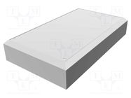 Enclosure: multipurpose; X: 254mm; Y: 432mm; Z: 76mm; HWCHAS; natural HAMMOND