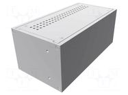 Enclosure: rack mounting; Standard: 19"; 2U; Z: 89mm; X: 211mm; rack HAMMOND