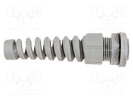 Cable gland; with strain relief; PG11; IP66,IP68; polyamide ALPHA WIRE
