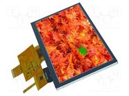 Display: TFT; 7"; 800x480; Illumin: LED; Dim: 165x100x5.8mm; RGB DISPLAY VISIONS