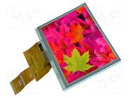 Display: TFT; 4.3"; 480x272; Illumin: LED; Dim: 105.5x67.2x3mm; RGB DISPLAY VISIONS