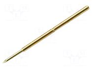 Spare part: tip TELEDYNE LECROY