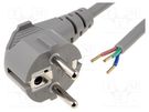 Cable; 3x1.5mm2; CEE 7/7 (E/F) plug angled,wires; PVC; 5m; grey LIAN DUNG