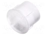 Fiber for LED; Ø3.3mm; L: 2.5mm; round; Front: flat; straight FIX&FASTEN