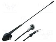 Antenna; 0.43m; Alfa Romeo,Fiat,Lancia; 2m 4CARMEDIA