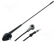 Antenna; 0.43m; Alfa Romeo,Fiat,Lancia; 2m 4CARMEDIA