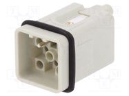 Connector: HDC; contact insert; male; S-Q12/0; PIN: 13; 12+PE; 10A 