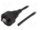 Cable; wires,RJ45 plug; Enclos.mat: polyamide; IP68; Len: 2m; 1.5A BULGIN