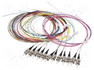 Optic fiber pigtail; OM4; ST/UPC; 2m; Optical fiber: 50/125um LAPP