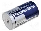 Battery: alkaline; 1.5V; D; non-rechargeable PANASONIC