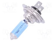 Filament lamp: automotive; PX26d; blue; 12V; 100W; VISIONPRO SPORT ELTA