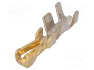 Contact; female; Minitek; 24AWG÷22AWG; cut from reel; crimped AMPHENOL COMMUNICATIONS SOLUTIONS