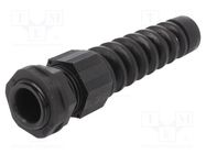 Cable gland; with strain relief; PG13,5; IP66,IP68; polyamide 