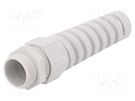 Cable gland; with strain relief; M25; 1.5; IP68; polyamide LAPP