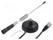 Antenna; CB; automotive; Farun Ontario; 0.315m; 3dBi; 50W; magnet FARUN