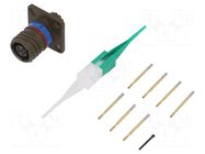 Connector: military; socket; female; PIN: 6; straight; crimped; 5A AMPHENOL AIR